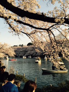 井の頭公園